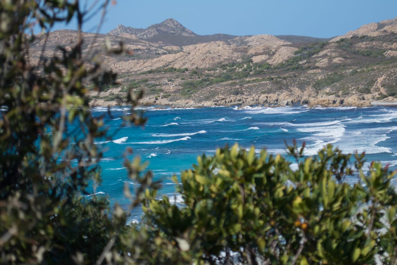 Lire la suite à propos de l’article Plage de l’Ostriconi : le guide pour préparer votre baignade